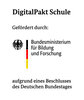Projekt: DigitalPakt Schule