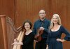 Meldung: TRIO 