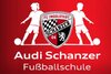 Vorschaubild der Meldung: Audi Schanzer Fussballschule in Nammering