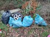 Meldung: Grundschule auf der Höhe sammelt Müll - Frühjahrsputz in der Stadt Hildesheim