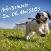 Meldung: Arbeitseinsatz und Projektstart Refugium für unsere unvermittelbaren Hunde