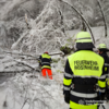 Meldung: Feuerwehren der Stadt Rosenheim im winterlichen Dauereinsatz