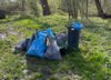 Meldung: Müllaktion Bode und Großes Bruch Frühjahr 2024
