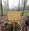 Meldung: Erneute Baumpflanzaktion am Sommerberg am 25.4.24