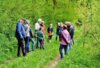 Meldung: Holsteinseen: Waldwanderung mit Dierk Hamann am 10. Mai in Schmalensee