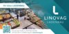 Meldung: Neuer Sponsor beim JFV " LINOVAG - LADENBAU "