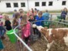 Meldung: So leben Tiere auf dem Bauernhof - Prackenbacher Grundschüler erkundeten den Peterhof in Bodenmais