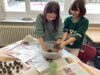 Meldung: Projektwoche