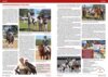 Meldung: Turnierbericht in der "REITEN und ZUCHT" zum Septemberturnier 2024