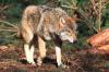 Foto von Naturfotograf Michael Röth