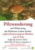 Pilzwanderung