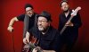 Band: Michael van Merwyk & The Jookbox Zoo Songster