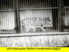 Foto vom Album: Der Tierpark in Bildern der Jahre 1964 bis 2024