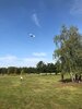 Foto vom Album: Wandertag der Flex-Klassen