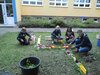 Foto vom Album: Herbstfest zum Jubiläum