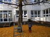 Foto vom Album: Deutschunterricht auf der Leiter