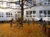 Foto vom Album: Deutschunterricht auf der Leiter