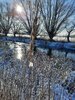 Foto vom Album: Wintereinbruch in Seester