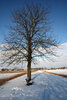 Foto vom Album: Wintereinbruch in Seester