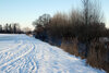 Foto vom Album: Wintereinbruch in Seester