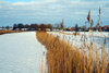 Foto vom Album: Wintereinbruch in Seester