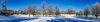 2021 Panorama 