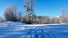 31.01.2021 Rodeln W.-D. Lüdeke