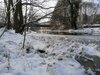 Foto vom Album: Winterspaziergang durch die Rolandstadt