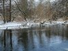 Foto vom Album: Winterspaziergang durch die Rolandstadt