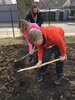 Foto vom Album: Frühlingsprojekt an der Elbtalgrundschule