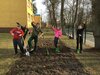 Foto vom Album: Frühlingsprojekt an der Elbtalgrundschule
