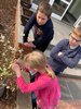 Foto vom Album: Obstbaumblütenzauber in der Klasse 3a