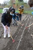 Foto vom Album: Erste Anpflanzung in unserem Schulgarten