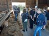 Foto vom Album: Oberschüler aus Glöwen erkunden Landwirtschaftsbetrieb im Rahmen der Berufsorientierung