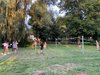 Foto vom Album: Kennlerntage Schuljahr 2021/22