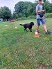 Foto vom Album: Sommerferien    Kind und Hund