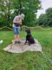Foto vom Album: Sommerferien    Kind und Hund