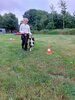 Foto vom Album: Sommerferien    Kind und Hund