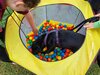 Foto vom Album: Sommerferien    Kind und Hund