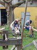 Foto vom Album: Sommerferien   Drechseln