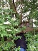Foto vom Album: Sommerferien   Drechseln