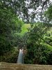 Foto vom Album: Sommerferien   Drechseln