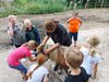 Foto vom Album: Sommerferien Hof Hasselbek