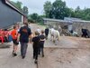 Foto vom Album: Sommerferien Hof Hasselbek