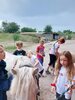 Foto vom Album: Sommerferien Hof Hasselbek