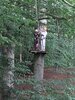 Foto vom Album: Sommerferien   Klettern