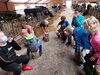 Foto vom Album: Sommerferien   Mit allen Sinnen durch den Kuhstall
