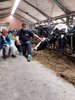 Foto vom Album: Sommerferien   Mit allen Sinnen durch den Kuhstall