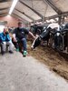 Foto vom Album: Sommerferien   Mit allen Sinnen durch den Kuhstall