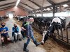 Foto vom Album: Sommerferien   Mit allen Sinnen durch den Kuhstall